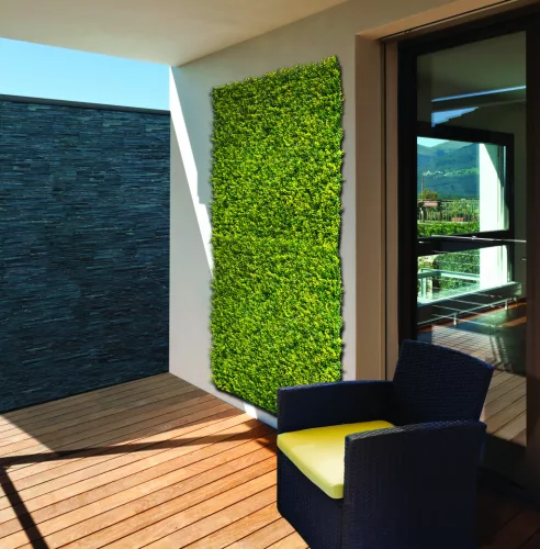 VERTICAL BUXUS zöldfal buxus levelekkel 1x1 m