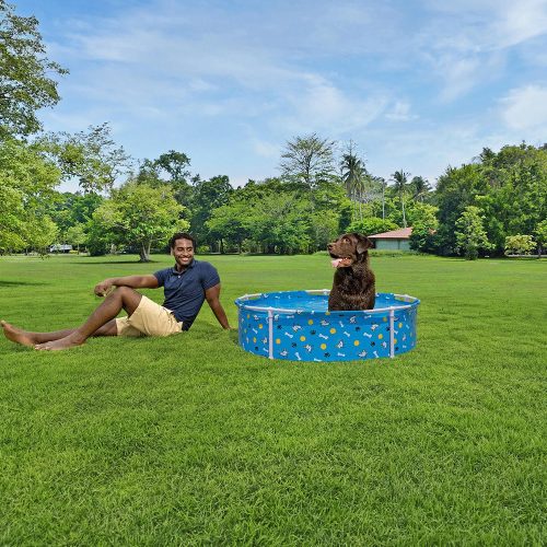 Medence kisállatoknak 122 x 30,5 cm