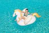 Luxus Pegasus rider 231 x 150 cm