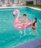 Flamingó rider 127 x 127 cm