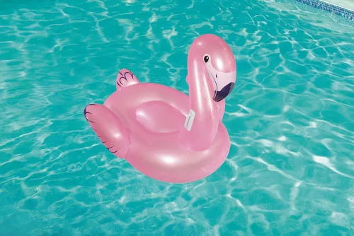 Flamingó rider 127 x 127 cm