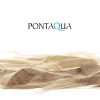 Pontaqua Family Pool KIT ANTRACIT ovális fémfalas családi medence szett 490 x 360 x 120 cm