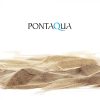 Pontaqua Family Pool KIT WOOD ovális fémfalas családi medence szett 490 x 360 x 120 cm